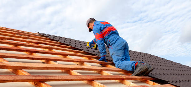 Best Roof Coating and Sealing  in Sigourney, IA