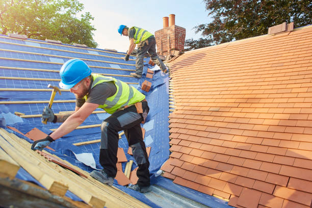 Best Steel Roofing  in Sigourney, IA